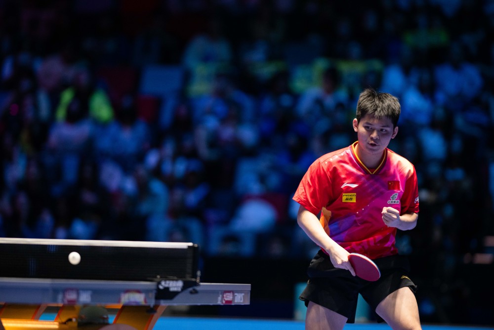 经济的重要 经济的重要