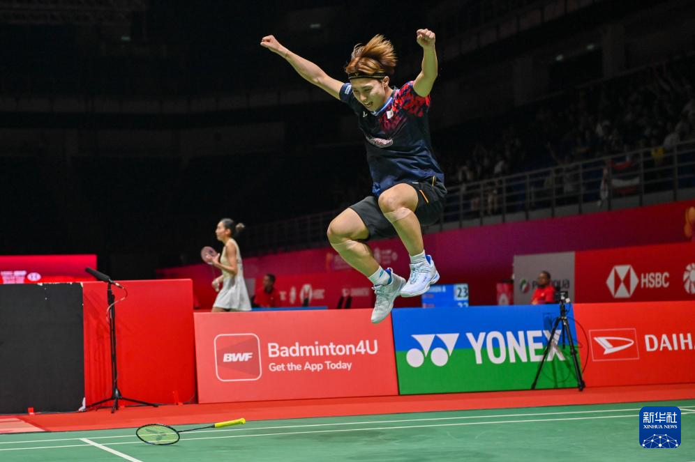 精湛的滑雪 精湛的滑雪