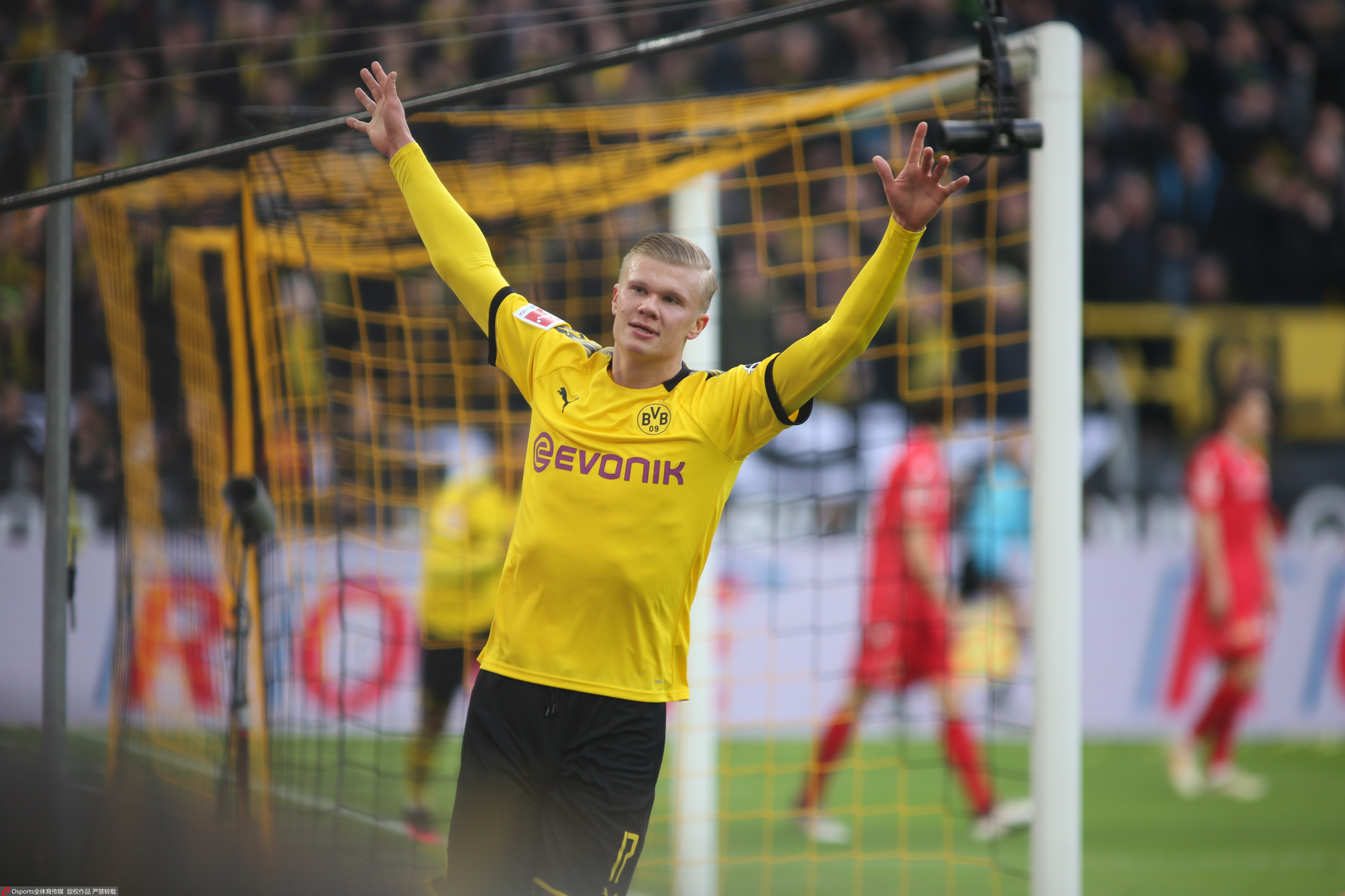 棕色尘埃2 棕色尘埃2